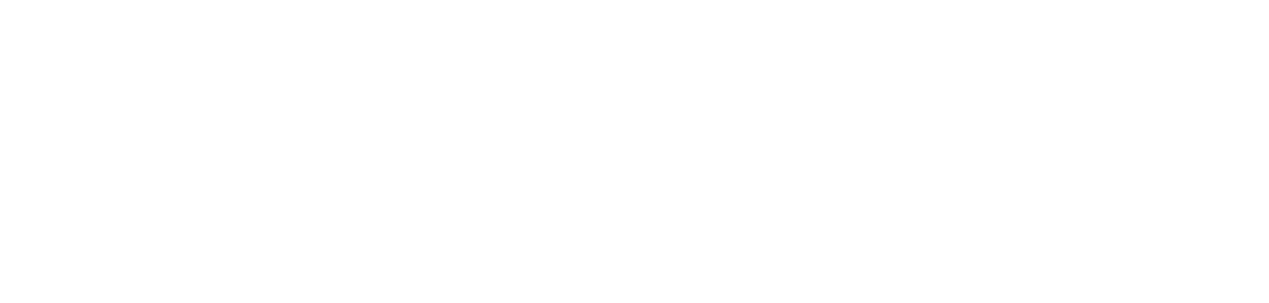 The 101